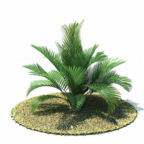 Chamaedorea Cataractum Tree 3d model