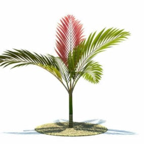 Chambeyronia Macrocarpa Tree 3d model