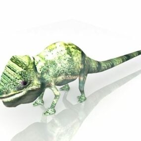 Chameleon Animal 3d model
