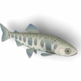 Model 3d Ikan Salmon Ceri