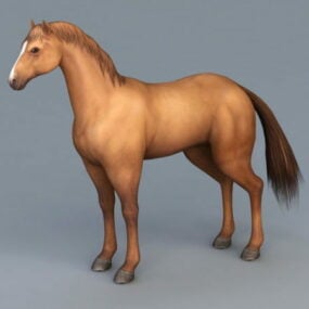 3д модель каштановой лошади