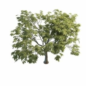 Chestnut Tree 3d model