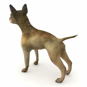 Model 3D chińskiego psa chihuahua