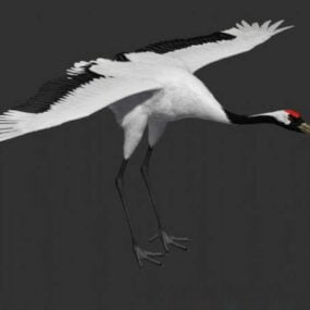 Chinese Red Crowned Crane 3d model