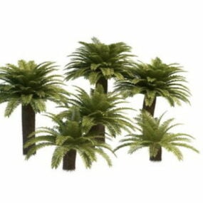 中国风车棕榈树3d模型