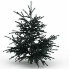 Chir Pine Tree Tree 3d model