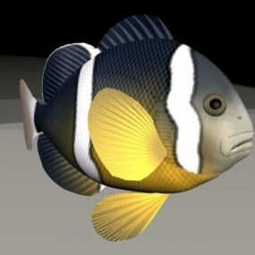 Clownfish Animated & Rigged модель 3d