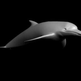 Mô hình cá heo Clymene 3d