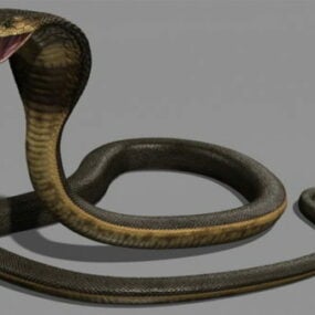 Mô hình động vật rắn hổ mang 3d