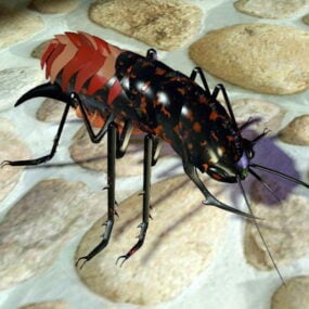 Cockroach Insect 3d model
