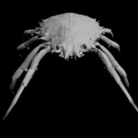 Scan Of Reef Crab Animal 3d model