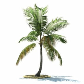 Modelo 3d de palma de coco
