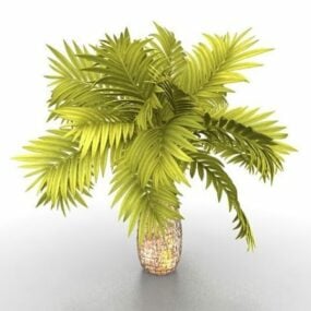 Uzun Palmiye Ağacı Bitki 3d modeli