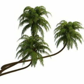 Kokospalmen 3D-model