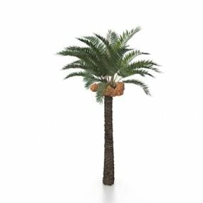 Modello 3d di noci di cocco e palme