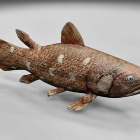 דגם Coelacanth Fish תלת מימד
