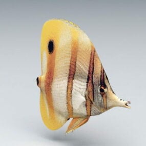 Barevné tropické ryby 3D model
