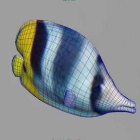 Barevné tropické ryby 3D model