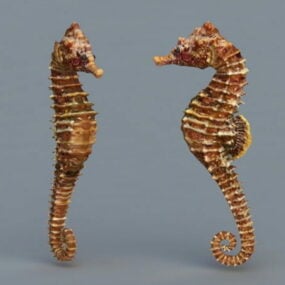 Common Seahorse Animal 3d model