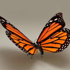 Modello 3d della farfalla tigre