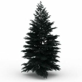 Conifer Tree 3d-modell