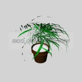 Potted Container Plants 3d model