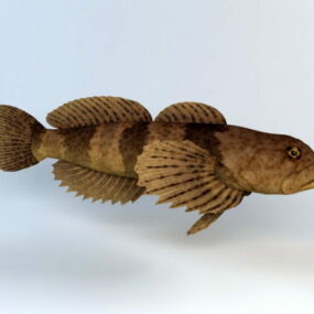 Cottus Kazika Fish 3d-model