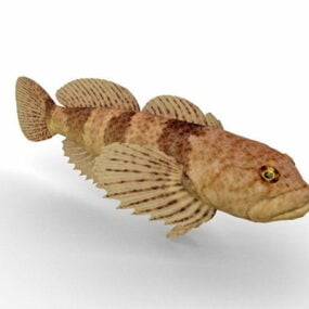 نموذج ثلاثي الأبعاد لحيوان سمكة الكوجناتوس