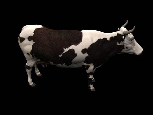 Cow Animal Free 3d Model Max Vray Open3dmodel 135964