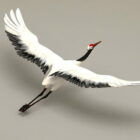 Crane Bird Flying Rigged