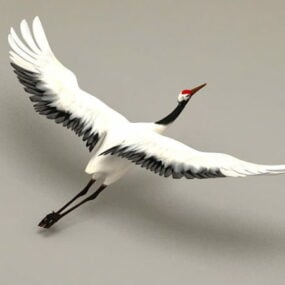 Flying Bird Crane Rigged Model 3d