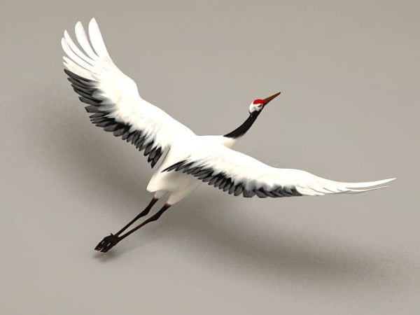 Crane Bird Flying Rigged