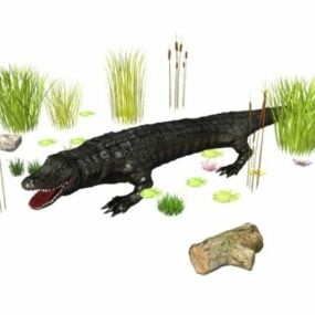 Krokodil valt dierlijk 3D-model aan