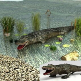 3д модель дикого крокодила
