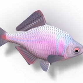 Mô hình 3d cá chép động vật