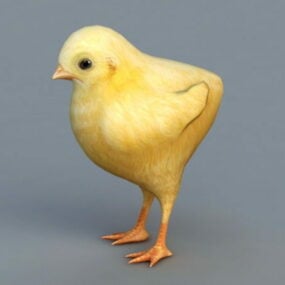 Cute Baby Chick 3d model