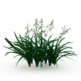 3d модель рослини орхідеї Цимбідіум