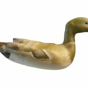 Dabbling Duck Animal 3d model