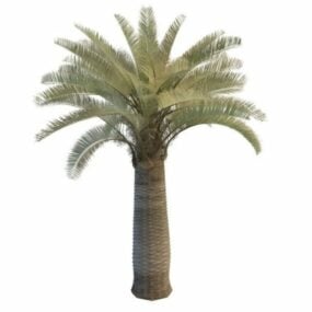 Model 3D Date Palm Tree