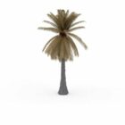 Dead Palm Tree