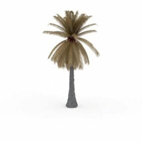 Dead Palm Tree 3d model