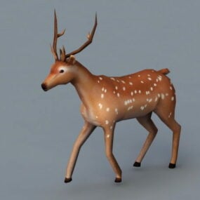 Deer Running Animated & Rigged 3d model