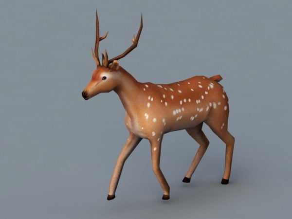 Deer Running Animated & Rigged
