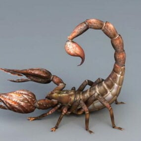 Modelo 3D do Escorpião do Deserto