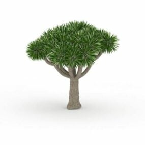 Modelo 3D da palmeira do deserto