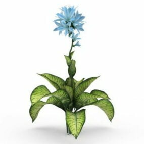 ディフェンバキア・セギネ植物3Dモデル