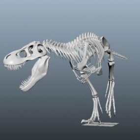 مدل سه بعدی استخوان دایناسور