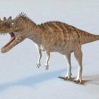 Dinosaur Giganotosaurus