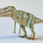 恐竜ティラノサウルスレックス