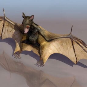 Múnla 3d de Wild Diosca Winged Bat
